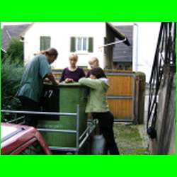 Lese1-5.jpg